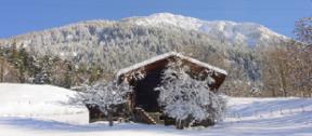 Alpenhtte Hasel  , im Hintergrund den Brigerberg.